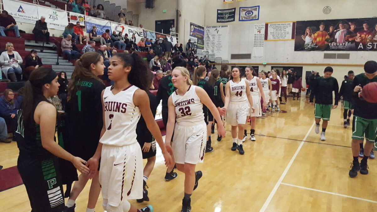 Briggs leads Mountain View girls basketball past Provo News, Sports, Jobs Daily Herald